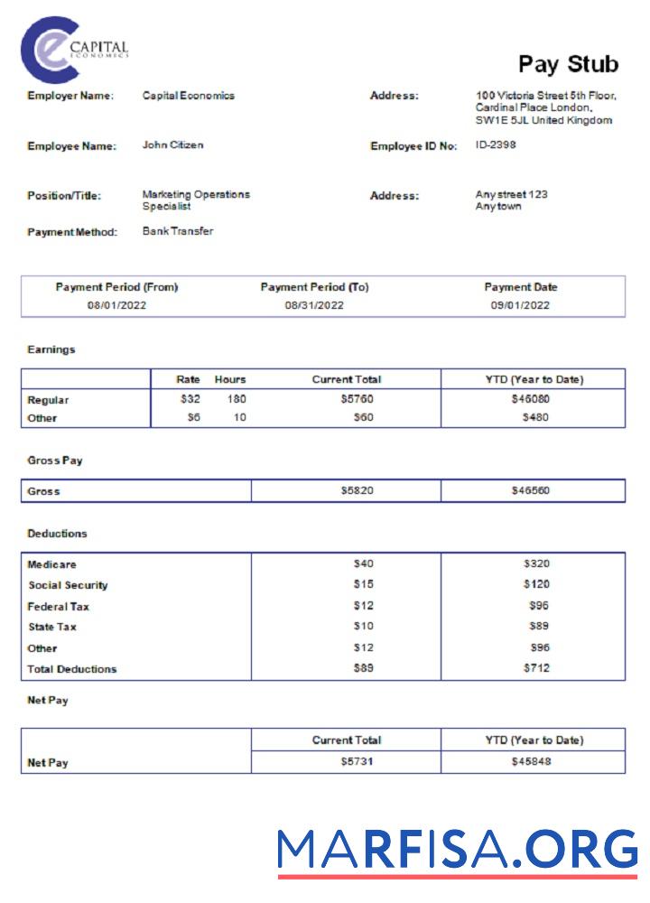 Realistic USA Capital Economics economic company template
